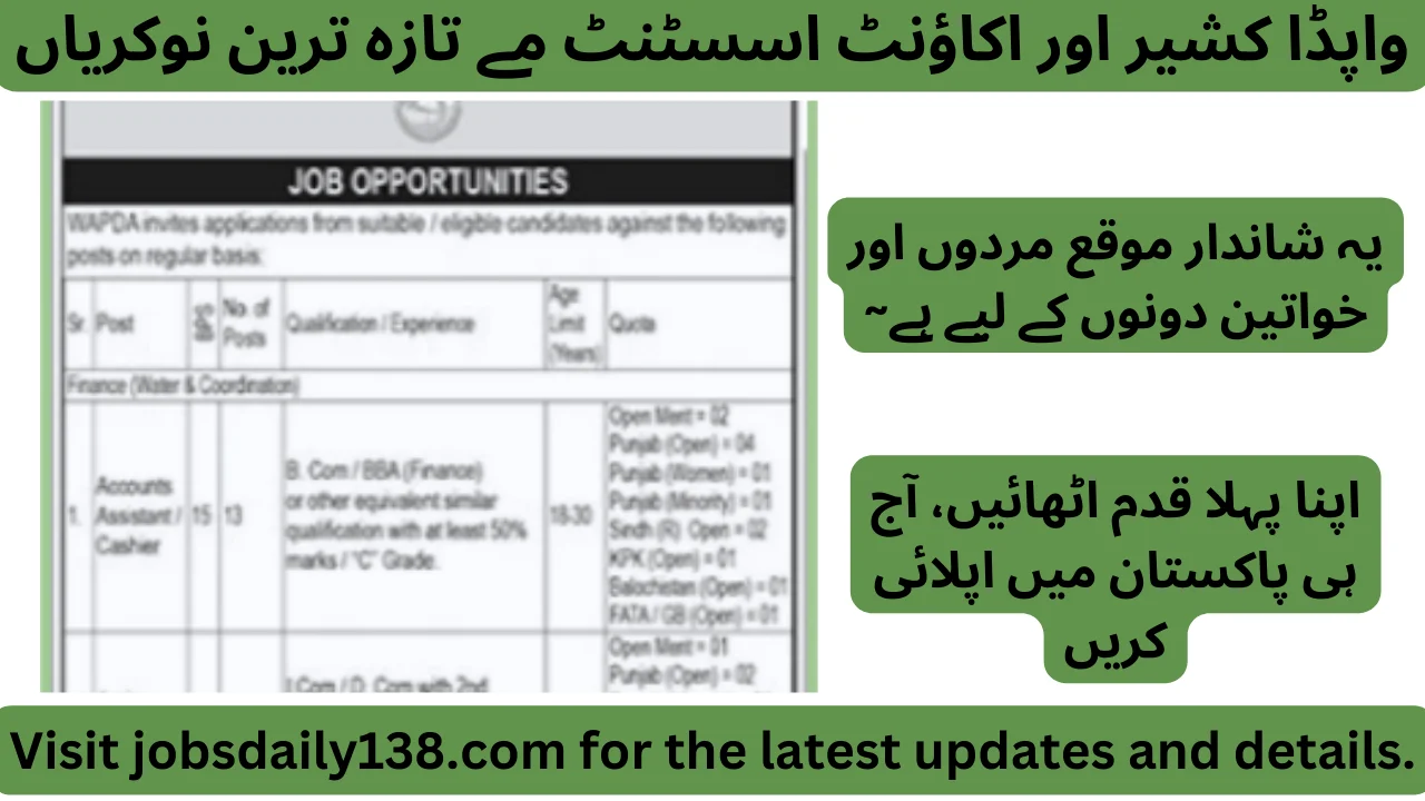 WAPDA Jobs 2024: Cashier And Accounts Assistant