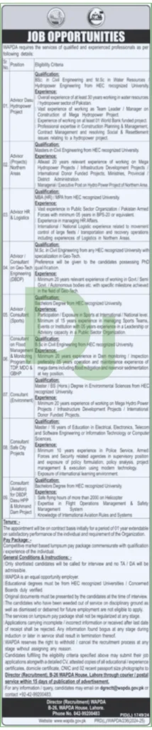 WAPDA  Management Jobs Advertisement 2025
